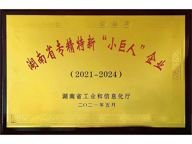 湖南省专精特新“小巨人”企业